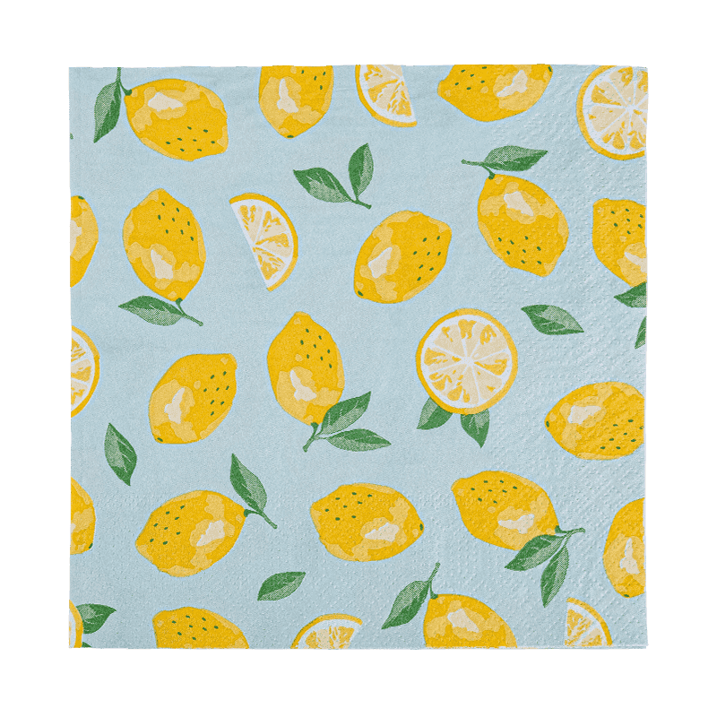 33x33 Full-Printing 2-lags papirservietter Paper Friut mønster SJ5101